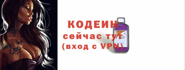 СК Горнозаводск