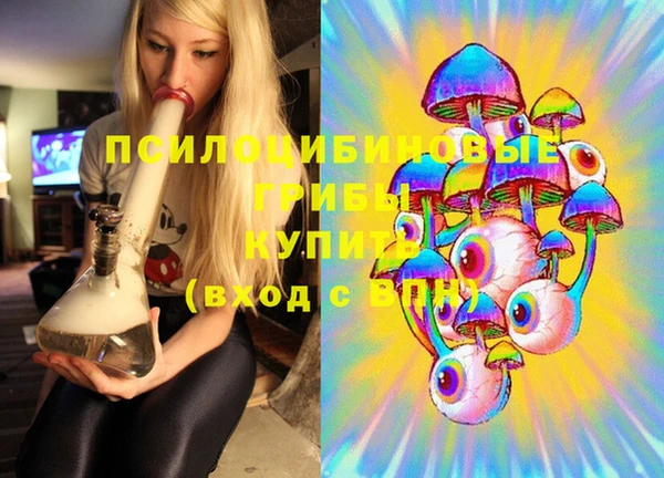 СК Горнозаводск