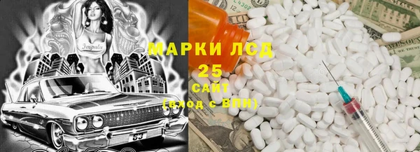 СК Горнозаводск