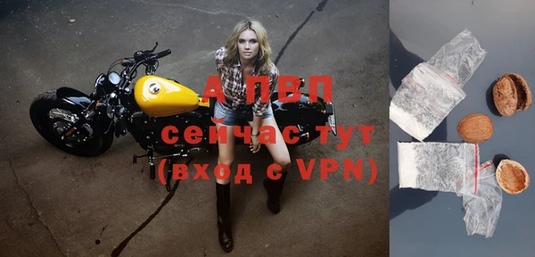 СК Горнозаводск
