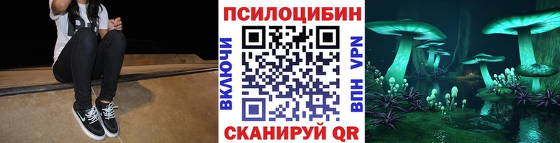 Псилоцибиновые грибы мицелий  наркотики  Саранск 