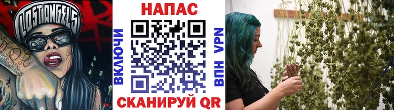 мориарти какой сайт кракен tor Саранск Бошки марихуана сатива